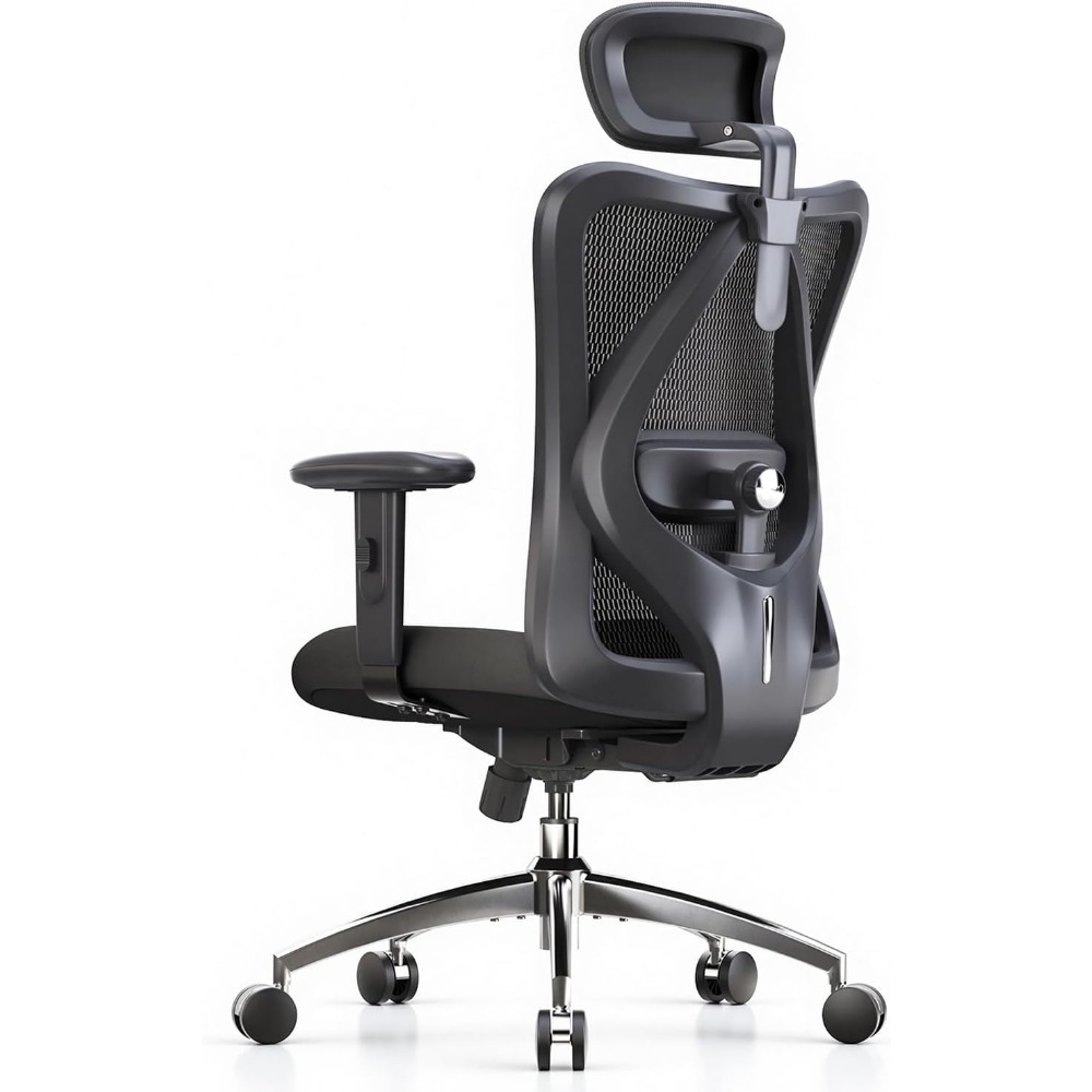 Home Office Ergonomics - เก้าอี้สำนักงานตาข่ายตามหลักสรีรศาสตร์พร้อมที่รองหลังและที่รองศีรษะปรับระดับได้สำหรับโฮมออฟฟิศ