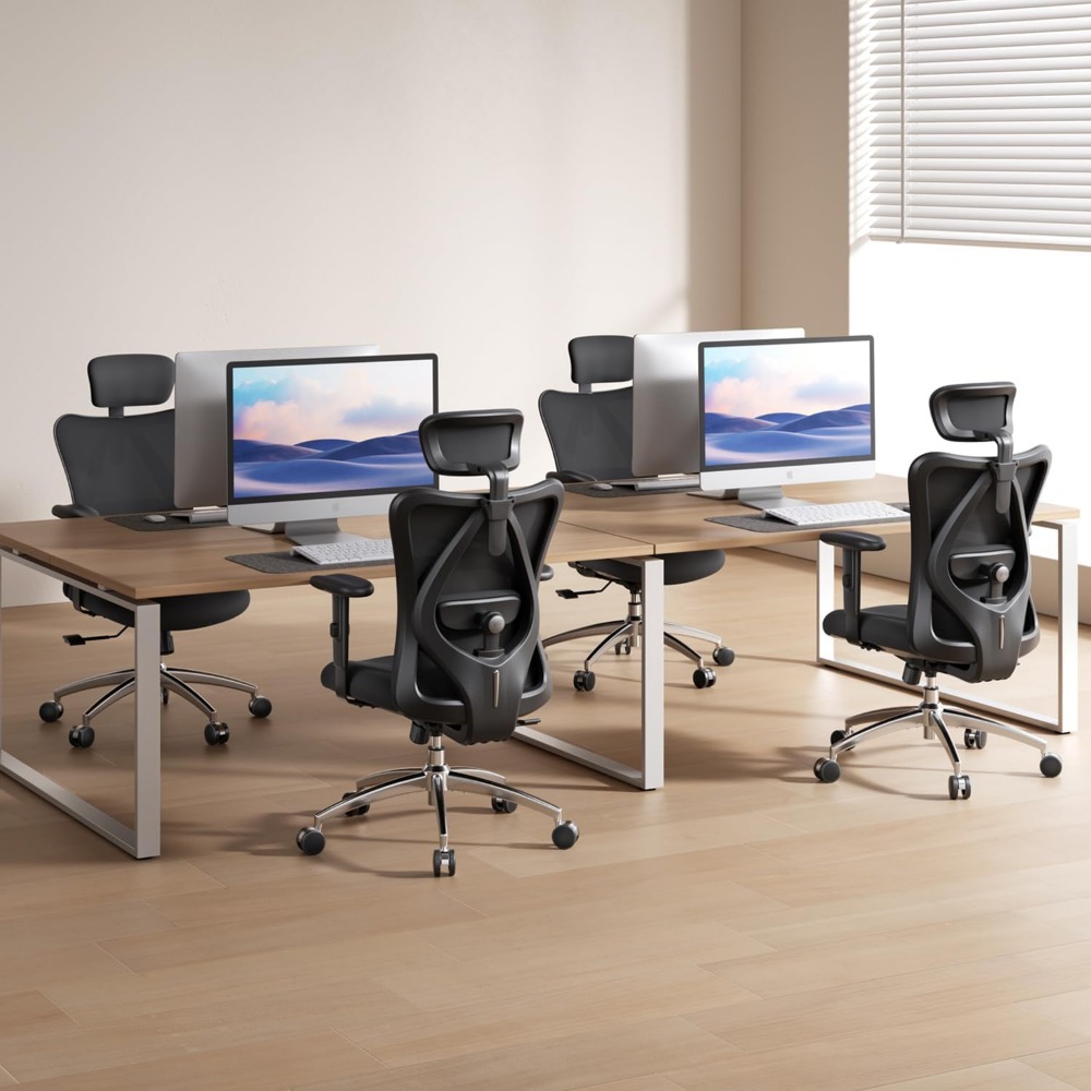 เก้าอี้สำนักงานตาข่ายตามหลักสร - Home Office Ergonomics บทวิจารณ์และราคา