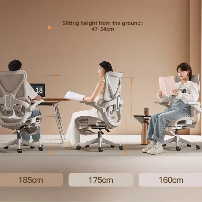 เก้าอี้เออร์กอนอมิกส์รุ่นใหม่  - Home Office Ergonomics บทวิจารณ์และราคา