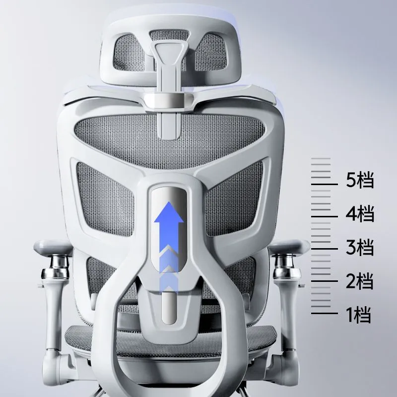 เก้าอี้คอมพิวเตอร์ตามหลักสรีรศ - Home Office Ergonomics บทวิจารณ์และราคา