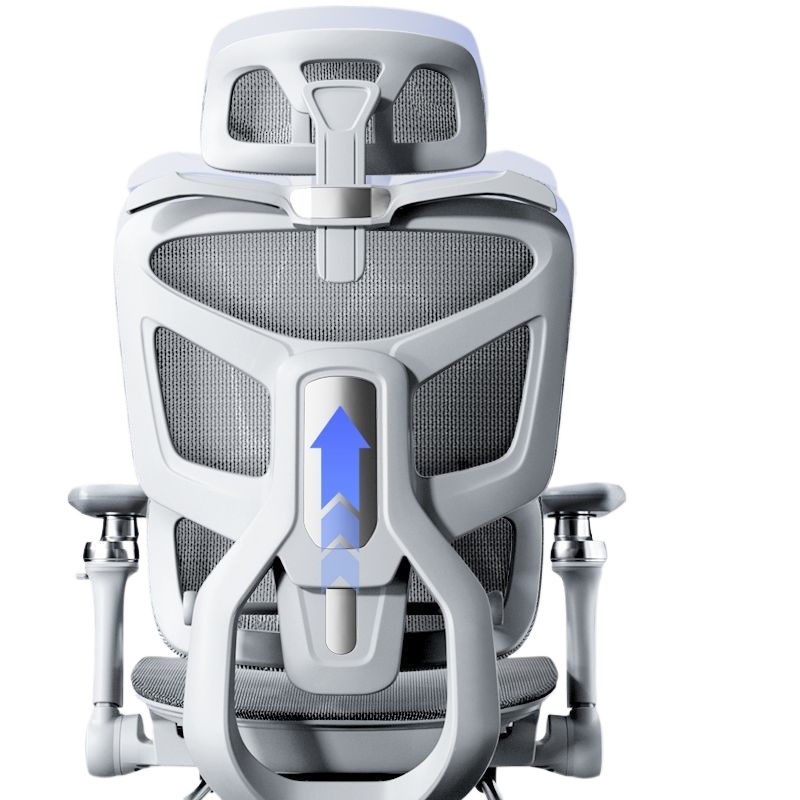 เก้าอี้สำนักงานเพื่อสุขภาพสำหร - Home Office Ergonomics บทวิจารณ์และราคา